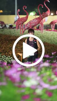 BIB:  <button type="button" onclick="openModal(27590954)" class="btn btn-primary btn-sm float-right" data-toggle="modal" data-target=".modal-high-quality">
                <i class="fa fa-download"></i> Download
                </button>